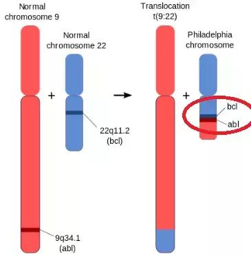 神药疗效真相揭秘,神药为什么那么贵