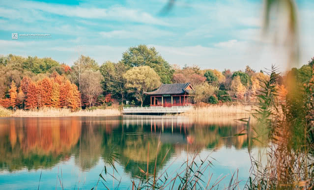 南京比较火的小众东西,南京比较好玩又小众的地方