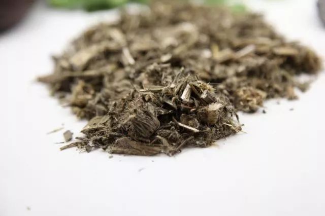 「百草园」那些“悬壶济世”的植物（六十四）蓟