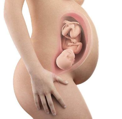 小婴儿是怎样出生的,婴儿从哪里出来