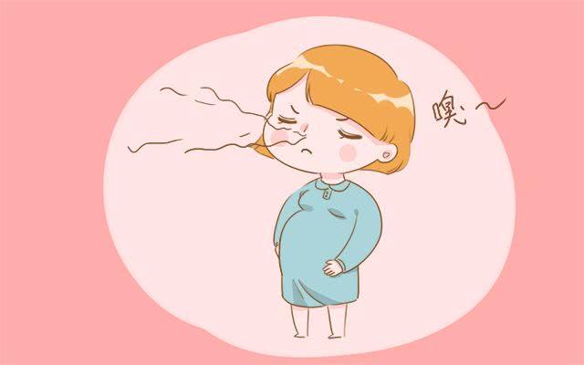 怀孕了觉得自己身上味道难闻,怀孕后有几种臭味