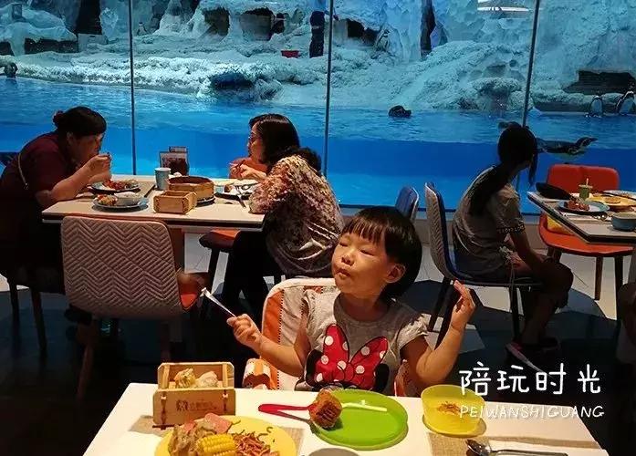 带娃游长隆最佳路线,带娃去哪个长隆玩