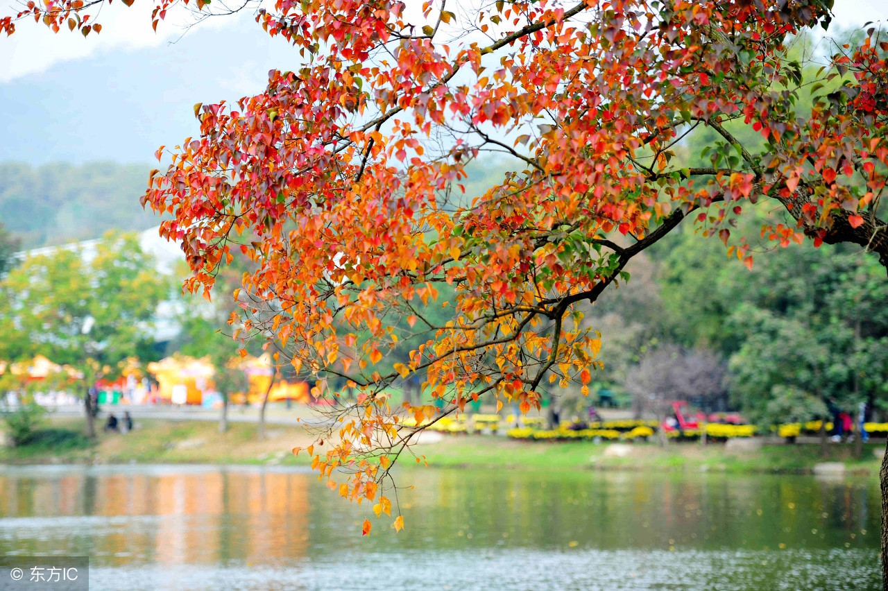 怎样说别人才愿意听,怎么说别人听得懂