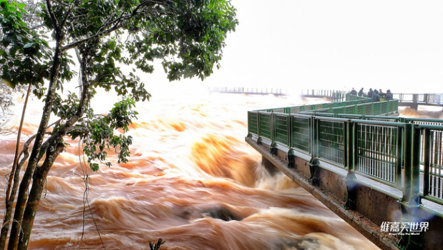 法国vs巴西最新比赛,法国vs乌拉圭2014