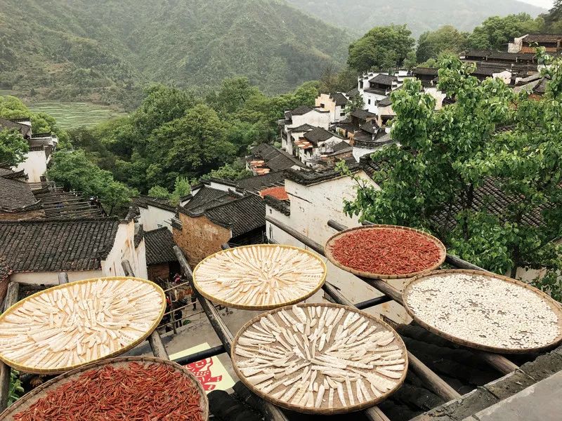 10月篁岭一日游最佳路线,篁岭旅游摄影攻略