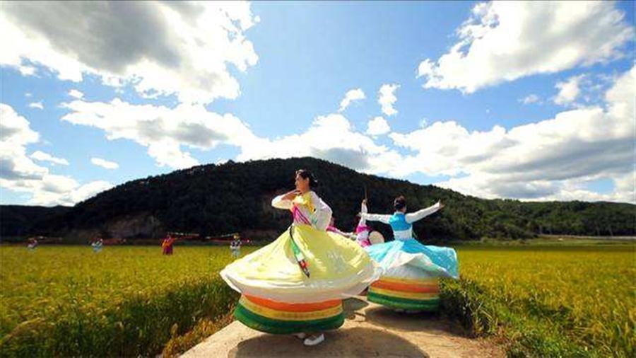 美图美文美情（周延锋）：幸福从来就有多种姿态