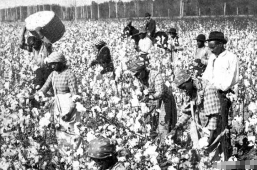 殖民地领土面积,殖民地宗主国