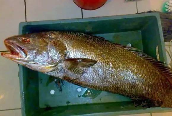 日照有什么好玩的地方,日照金山