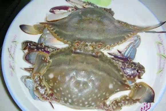 日照有什么好玩的地方,日照金山