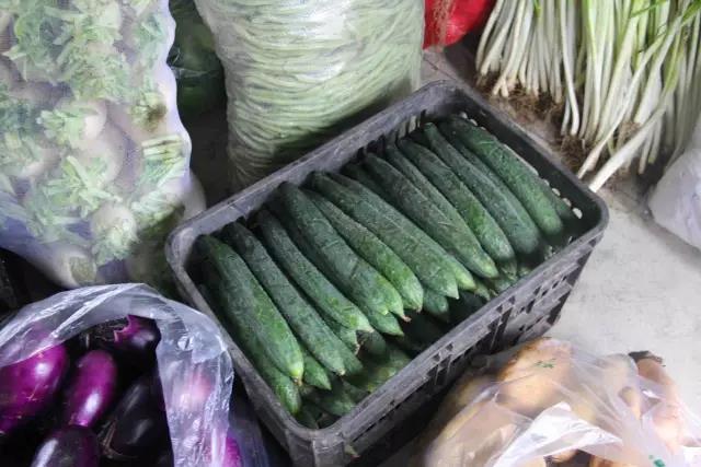 爱的本质是自由原唱,爱的本质是自由是勇敢