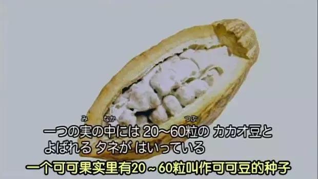 巧克力制作过程方法,巧克力制作方法全过程