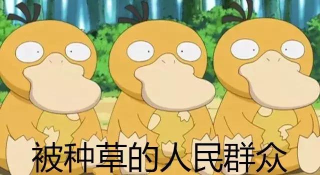 一篇文章带货几十万，高粘性种草号是怎么养成的？