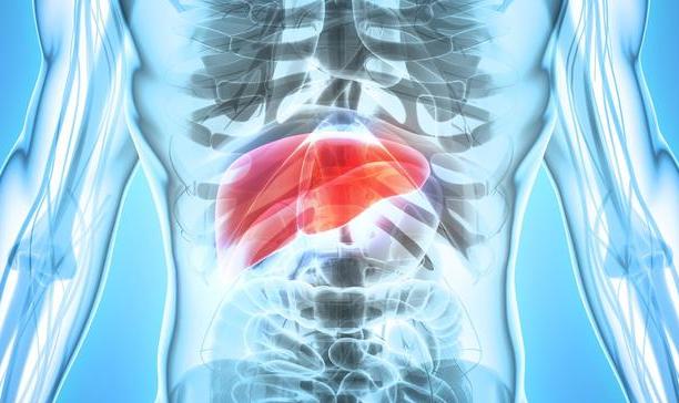 2种植物磨碎泡水喝，不到10天，转氨酶降光光，扼制肝炎转肝癌