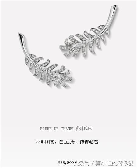 香奈儿耳环多少钱,香奈儿的耳环大概是什么价位
