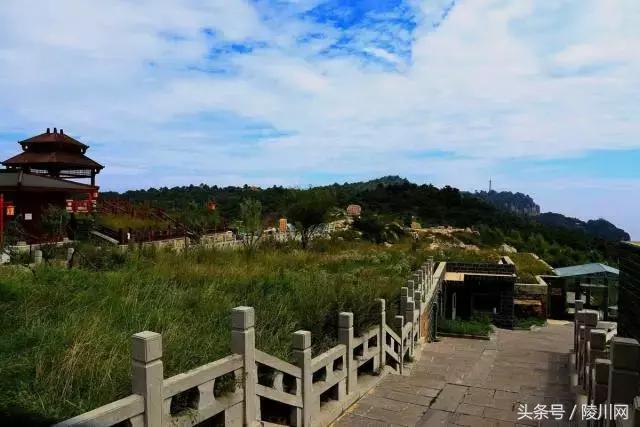 热吗来杯春茶解渴,热吗来杯热茶