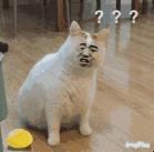 去香港超过7天怎么处罚,在香港超过7天会怎样处罚