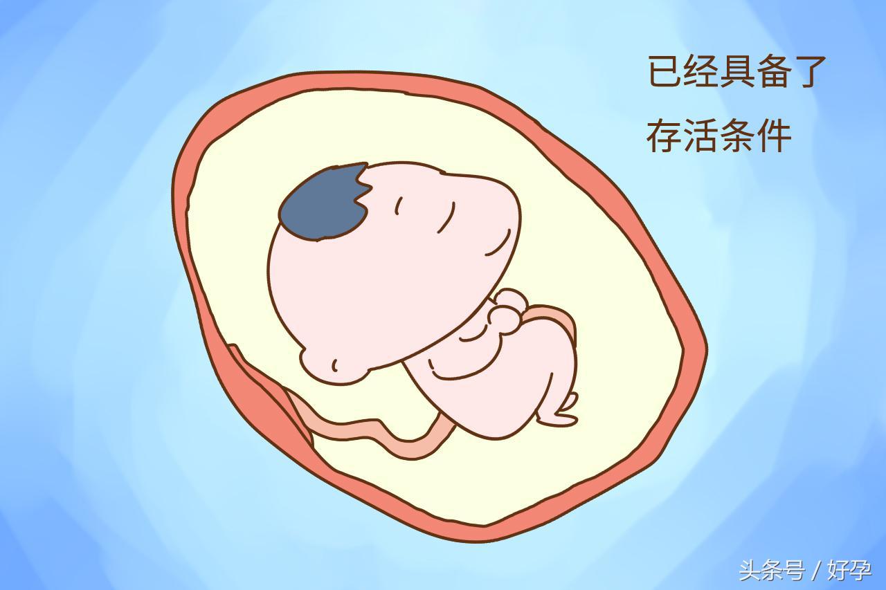 人家说七成八不成什么意思,老人常说怀孕七成八不成啥意思