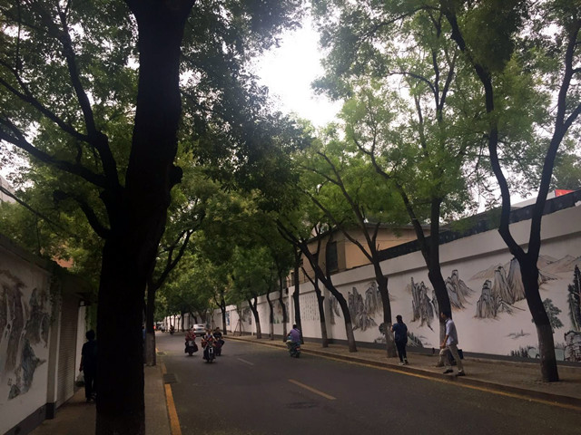 济南现在最“香”的一条街,在东部老城区,花香满地