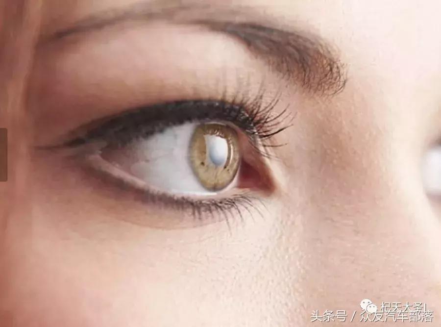 枸杞泡一大杯直接吃有什么好处,枸杞这样泡男性必看