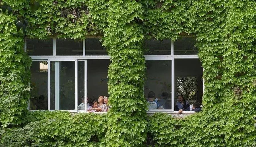 成都市区绿野仙踪,绿野仙踪成都二环