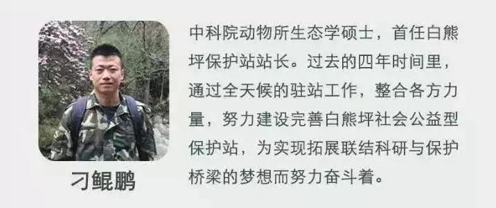 面对尸体，在野外这些野生动物会有什么反应