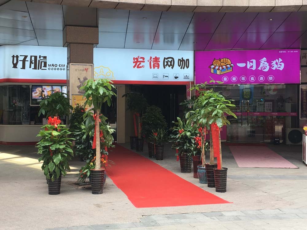 实探合肥4大运营不善商业体现状是继续沉沦还是“变身”求存？