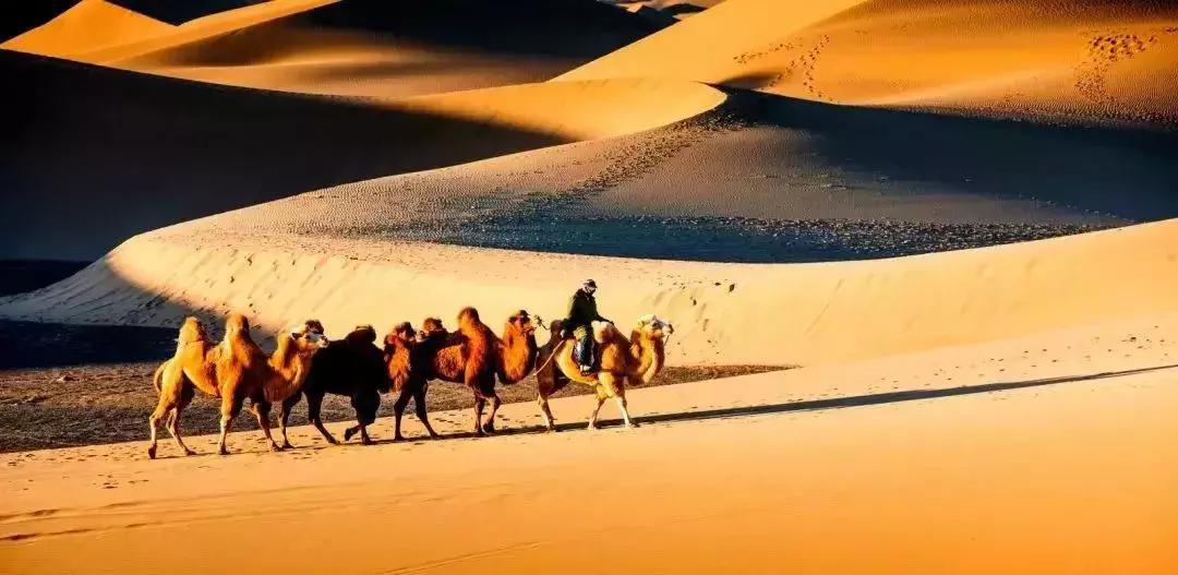 从天津出发的旅游专线 (天津出发12小时到达)