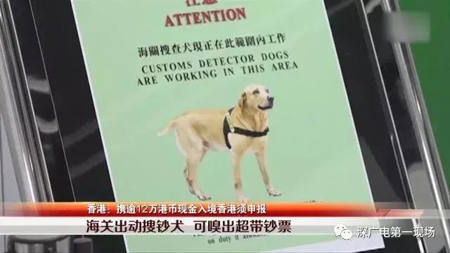 广深港高铁9月开通！去香港的博罗人千万注意这件事情