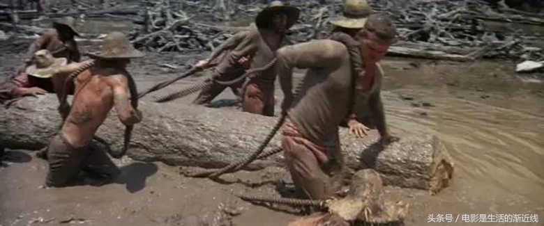 十部必看的越狱大片解说,最过瘾的十部越狱片