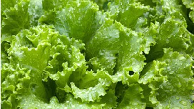 怀孕吃麻辣烫烧烤对胎儿有影响吗,怀孕后能不能吃维生素