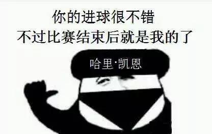 锦湖说世界杯：带你胡侃世界杯之三喵军团（爆笑图文，不容错过）