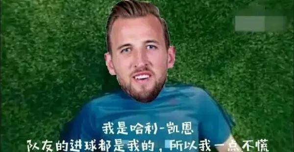 锦湖说世界杯：带你胡侃世界杯之三喵军团（爆笑图文，不容错过）