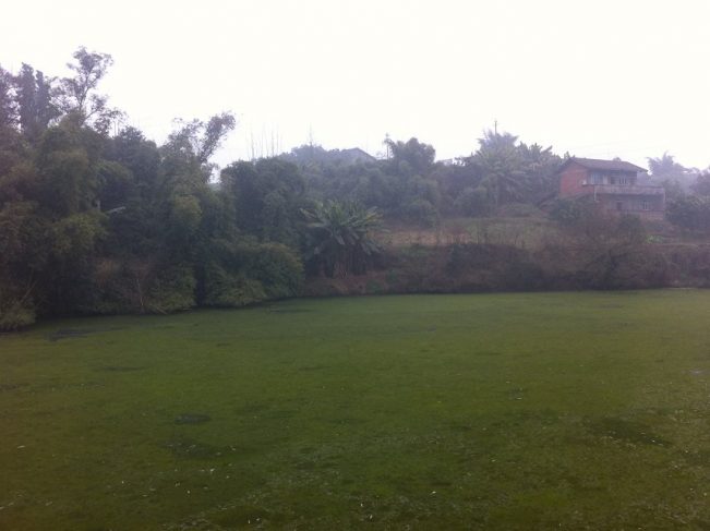 朋友讲述自己经历的灵异故事,亲戚朋友讲述真实经历