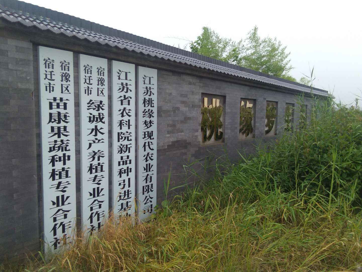 千鸟园宿迁美食,千鸟园桃缘