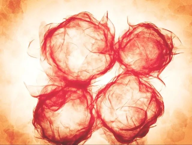 微观世界｜这样的世界杯，你见过吗？