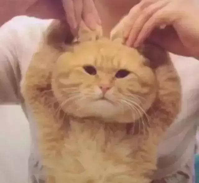 7月去香港的小伙伴注意！这些新规不知道就有坐牢的风险！