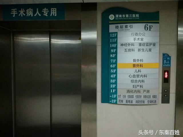 被毒蛇咬伤真实案例,被银环蛇咬伤后死亡率有多高