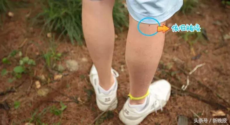 网红测评驱蚊的东西,打假测评达人驱蚊神器