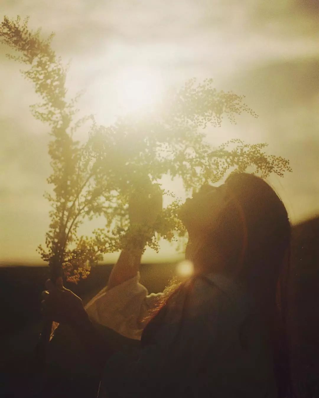 天空摄影教程视频全集免费,天空摄影怎么拍