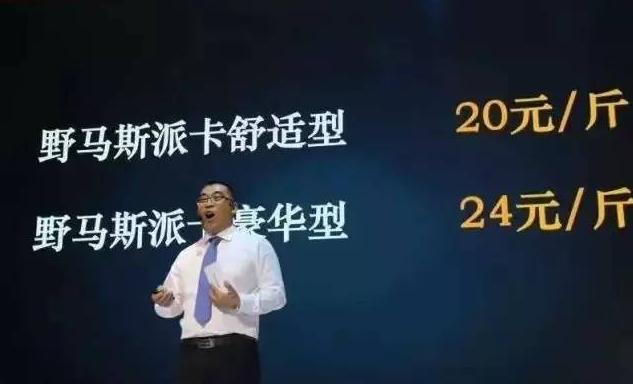 川汽野马到底怎么样,川汽和野马哪个好