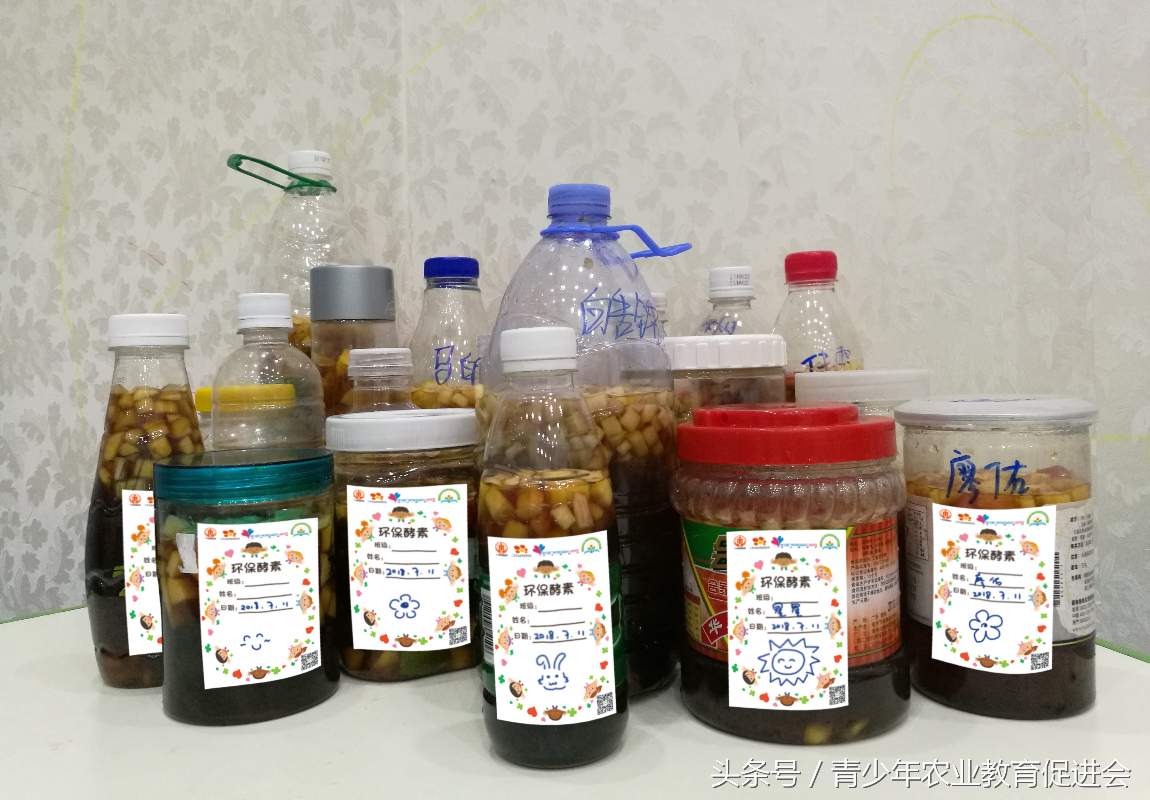 早教公益课堂记录,早教公益课活动目的