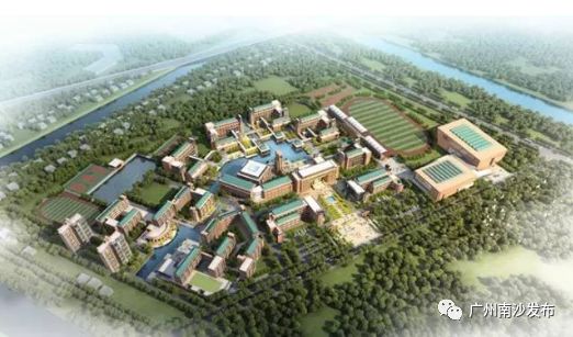 小伙查到高考成绩416分985稳了,东涌中学小升初2020录取分数