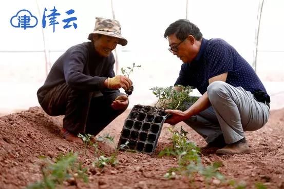 *藏西**昌都建起“天津新村”,吃上“天津菜”!