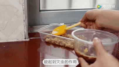 洗衣粉米饭治蟑螂效果最好,一勺洗衣粉家里蟑螂蚊虫全消灭