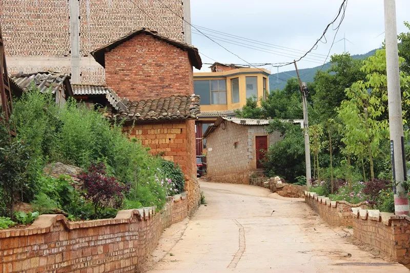 「发现」跳上生态旅游的“舞台”——看泸西阿平村如何美丽嬗变~