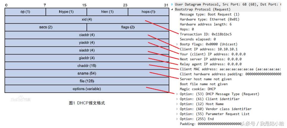 dhcp中文名称及作用,dhcp原理动画图