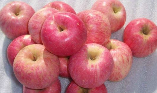 面试官100杯水其中一杯有毒,面试官有五个人只有四杯水怎么办