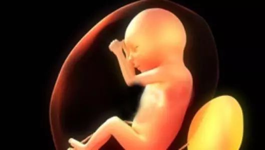 羊水这名字是怎么来的?它有什么神奇的用处?