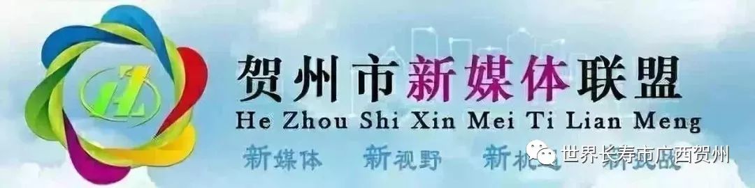 贺州市中小学报名系统初审通过,2021贺州小学预约报名时间