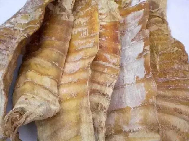 目前黄山旅游攻略最新,全网最详细的黄山旅游攻略